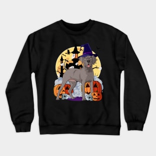 Great Dane Scary Halloween Witch Pumpkin Crewneck Sweatshirt